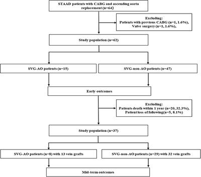 Mid-term Patency of the Great Saphenous Bypass to Aorta vs. Non-aortic Arteries in Stanford Type A Aortic Dissection Surgery With Concomitant CABG